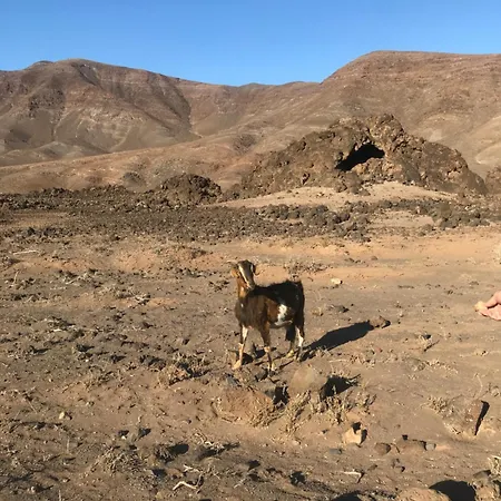 Casa Sotavento アパート *