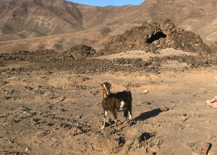 Casa Sotavento Apartamento *