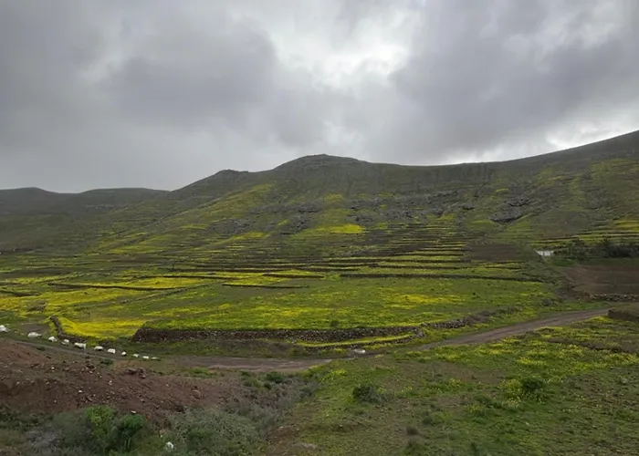Casa Sotavento Apartamento Corralejo