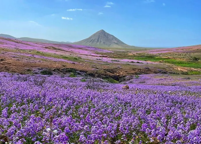 Casa Sotavento Apartmán Corralejo
